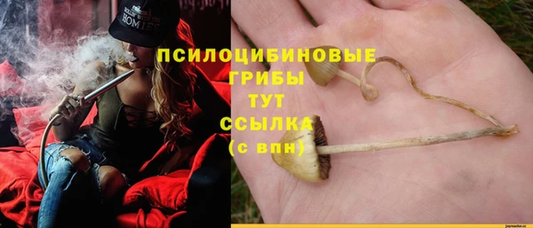 наркотики Горняк