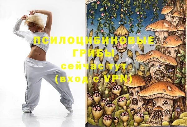 эйфоретик Горнозаводск
