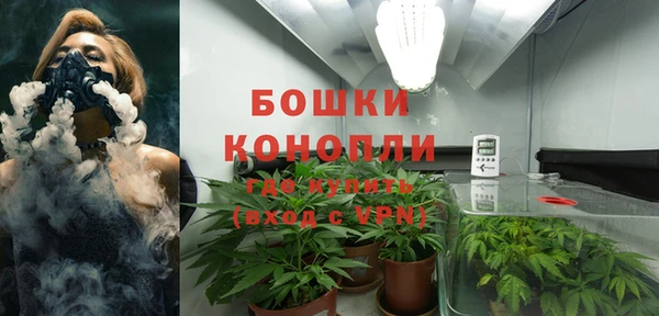 эйфоретик Горнозаводск